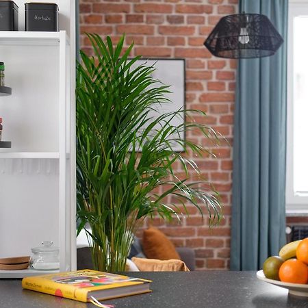 Mikroklimatyczny apartament dla 4 osób Szklarska Poręba Exterior foto